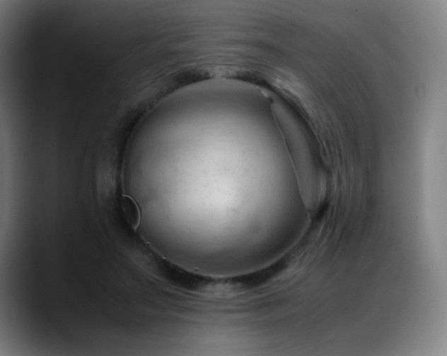 X0000089350499200706151104