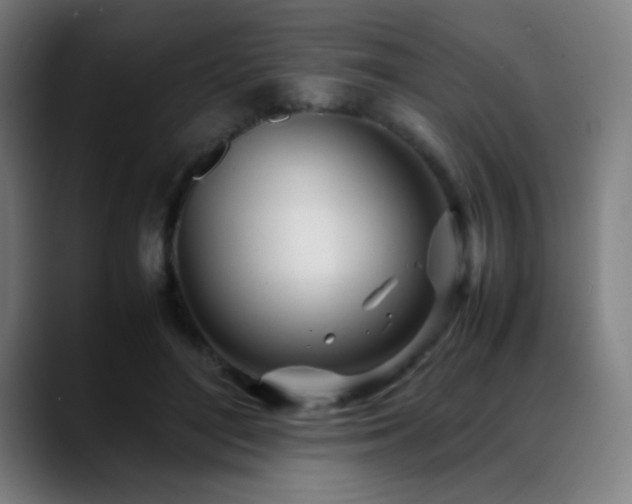 X0000089350500200706151104