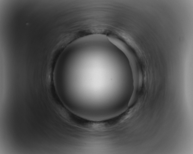 X0000089350501200706151104