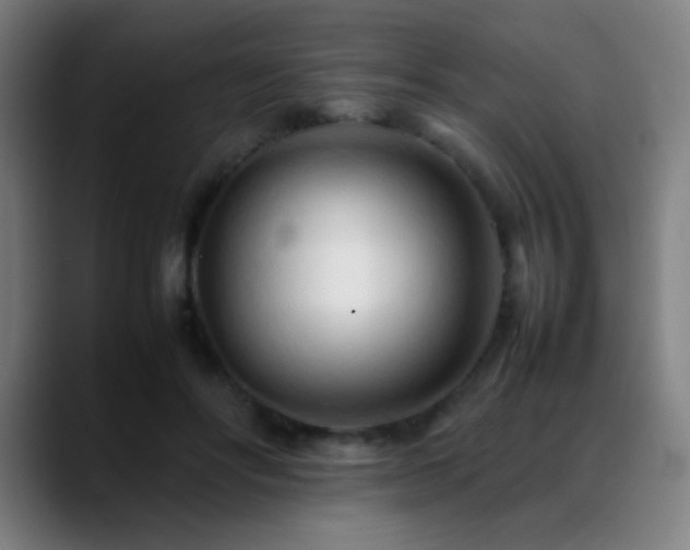 X0000089350502200706151104