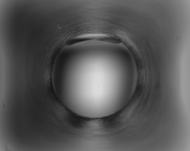 X0000089350505200706151104