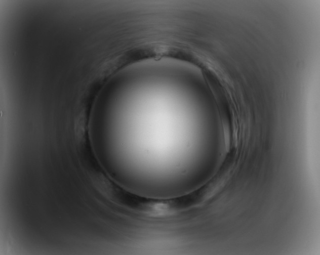 X0000089350509200706151104