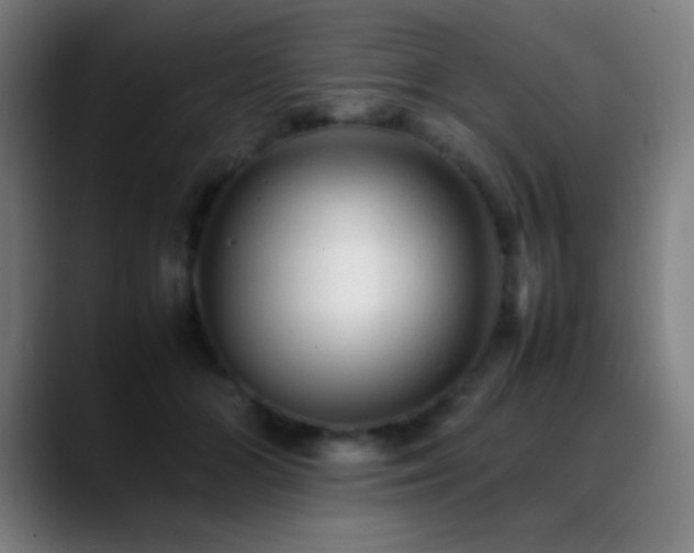 X0000089350510200706151104