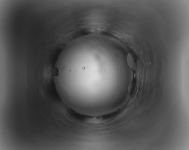 X0000089350511200706151104