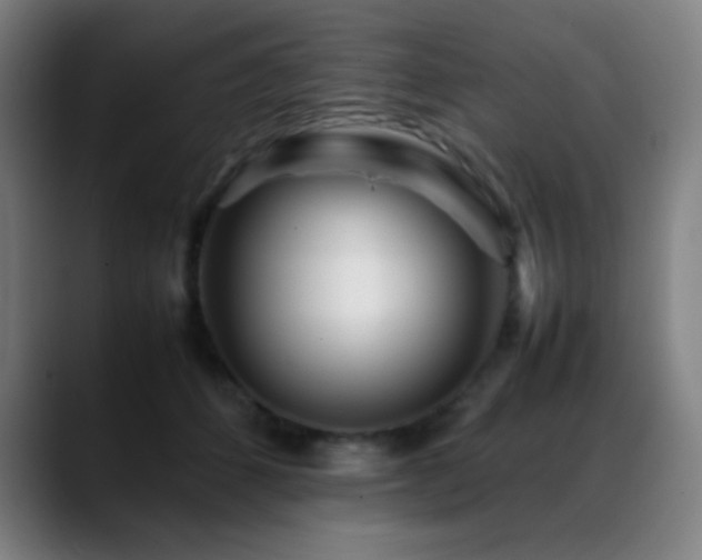 X0000089350512200706151104