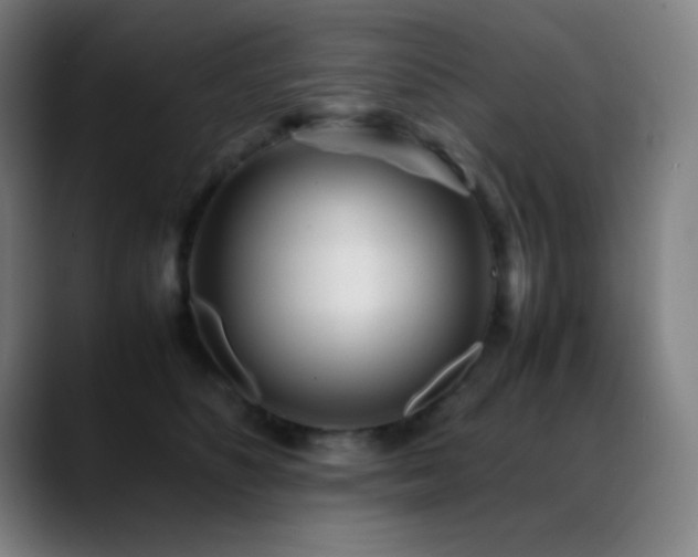 X0000089350516200706151104