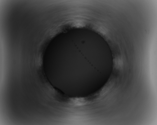 X0000089350517200706151104