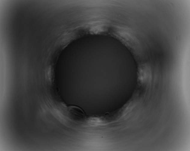 X0000089350519200706151104