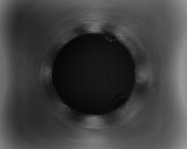 X0000089350521200706151104