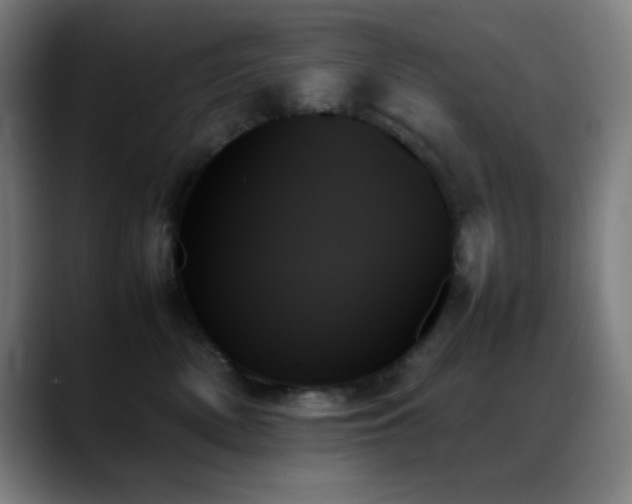 X0000089350522200706151104