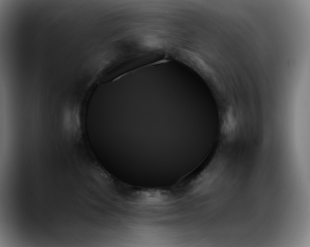 X0000089350524200706151104
