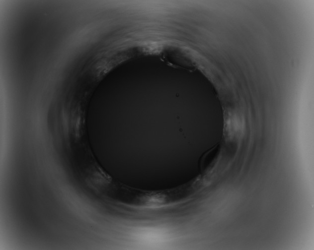 X0000089350525200706151104