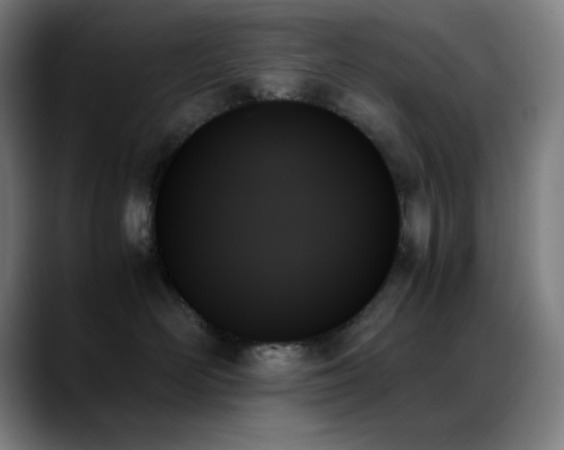 X0000089350526200706151103