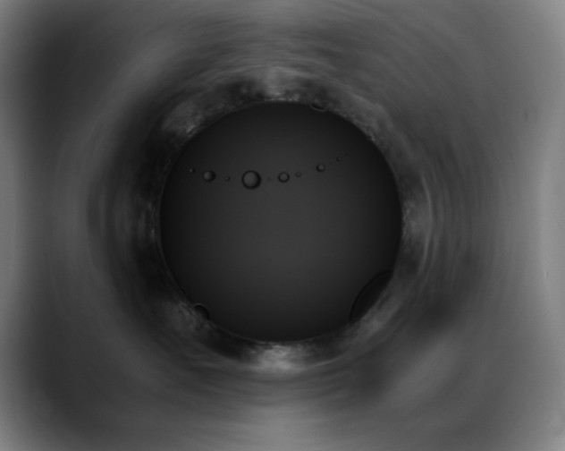 X0000089350527200706151103