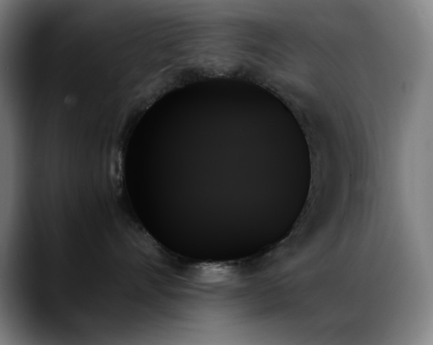 X0000089350528200706151103