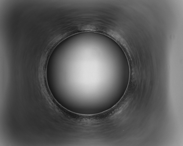 X0000089350529200706151103