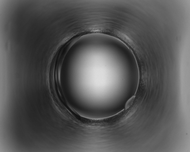 X0000089350530200706151103