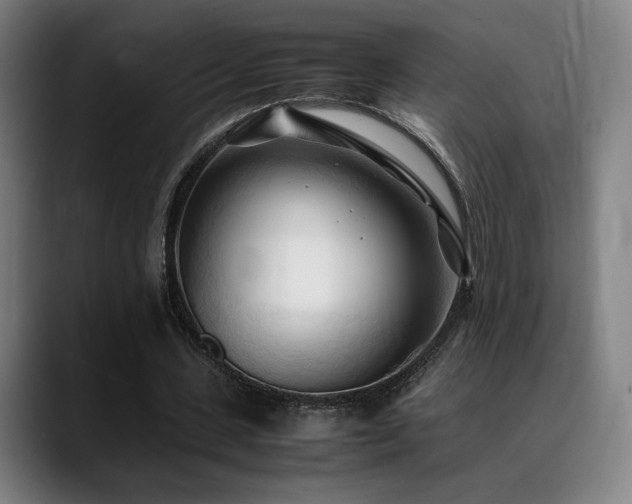 X0000089350531200706151103