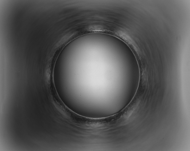 X0000089350533200706151103