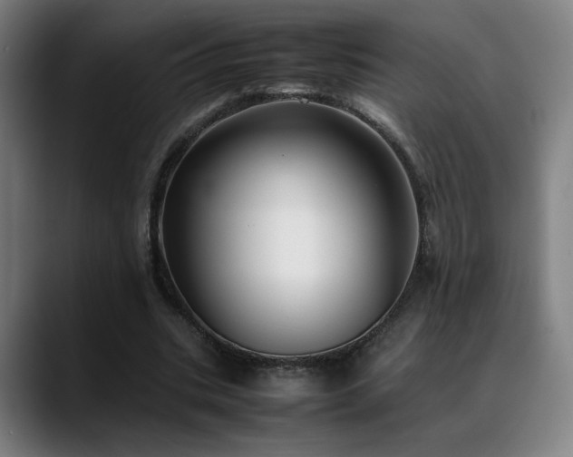 X0000089350535200706151103