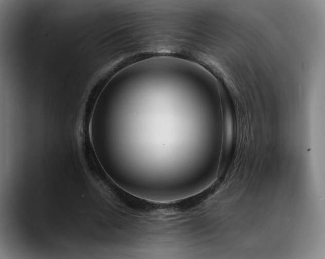 X0000089350536200706151103