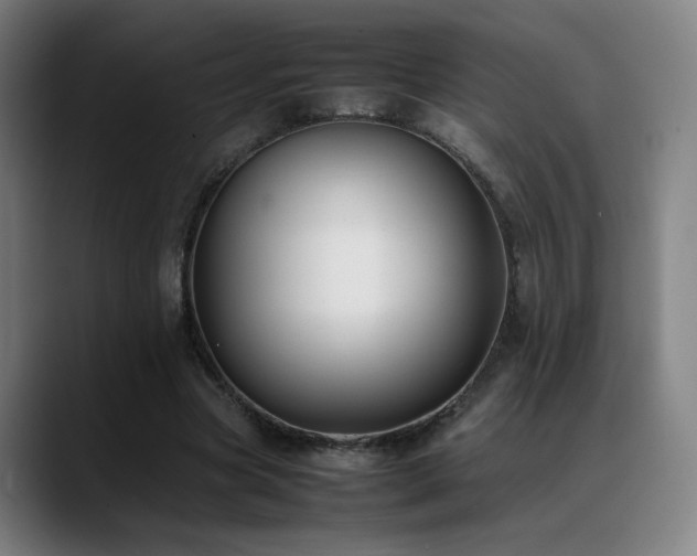 X0000089350537200706151103