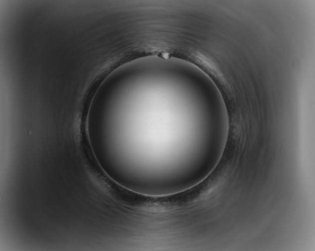 X0000089350538200706151103
