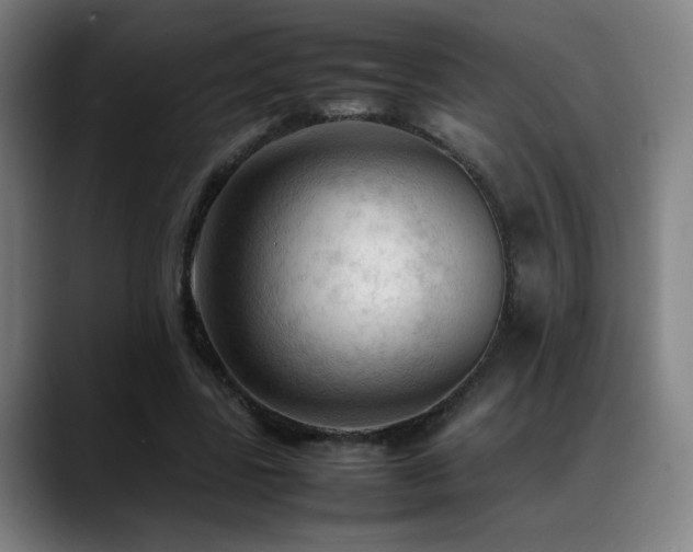 X0000089350539200706151103