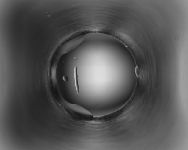 X0000089350540200706151103