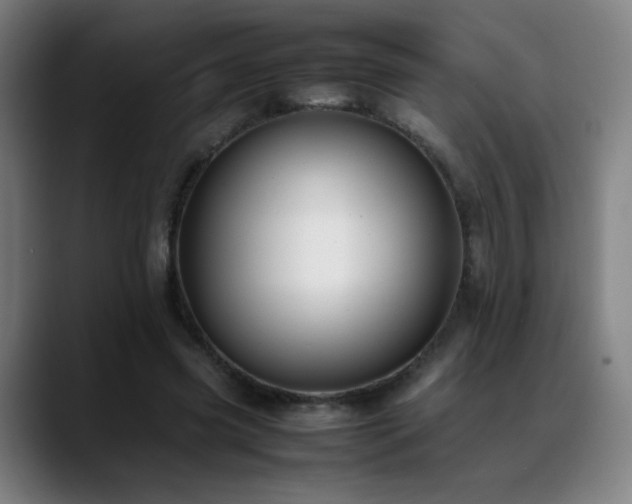 X0000089350541200706151103