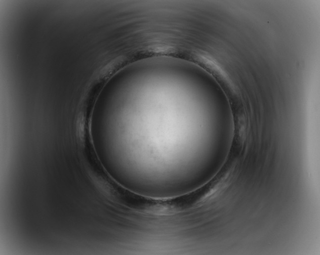 X0000089350542200706151103