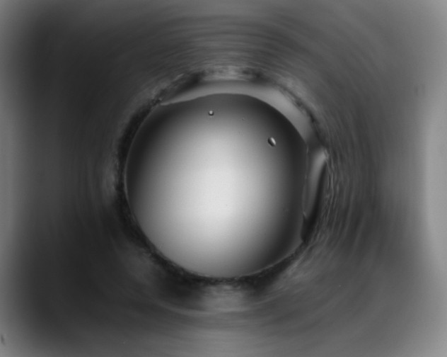 X0000089350544200706151103
