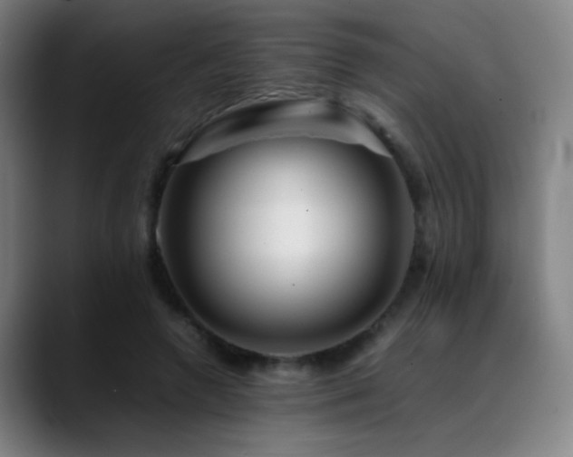 X0000089350546200706151103
