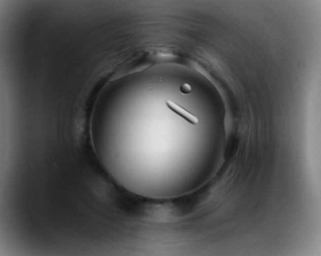 X0000089350548200706151103