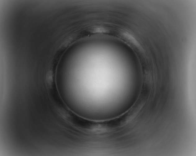 X0000089350549200706151103