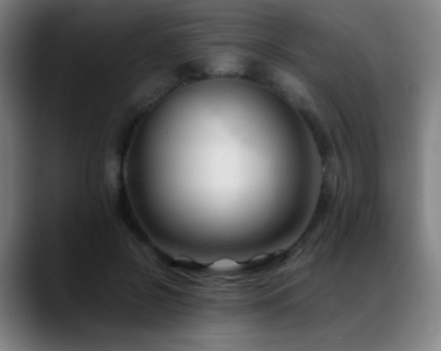 X0000089350550200706151103