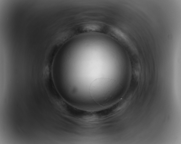 X0000089350551200706151103