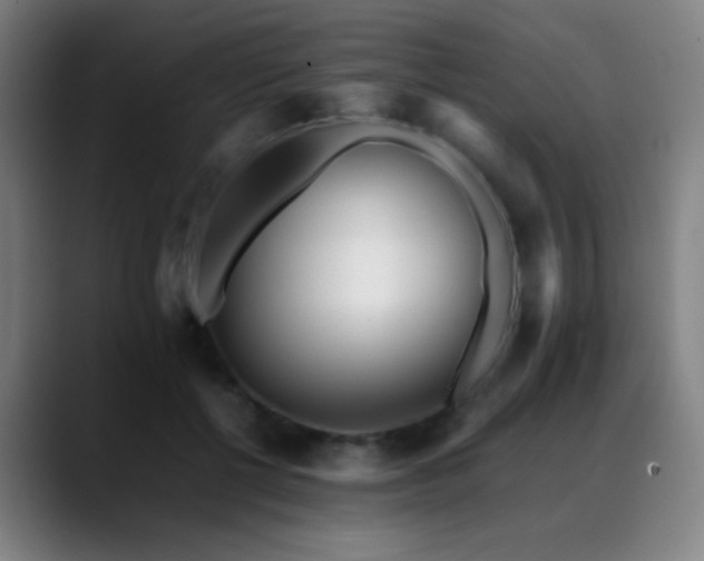 X0000089350552200706151103