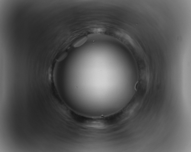 X0000089350553200706151103
