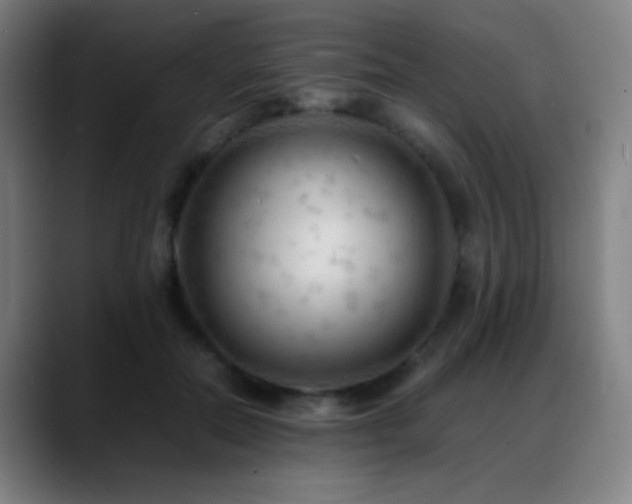 X0000089350554200706151103