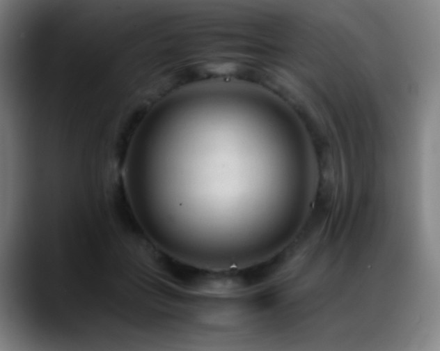 X0000089350555200706151103