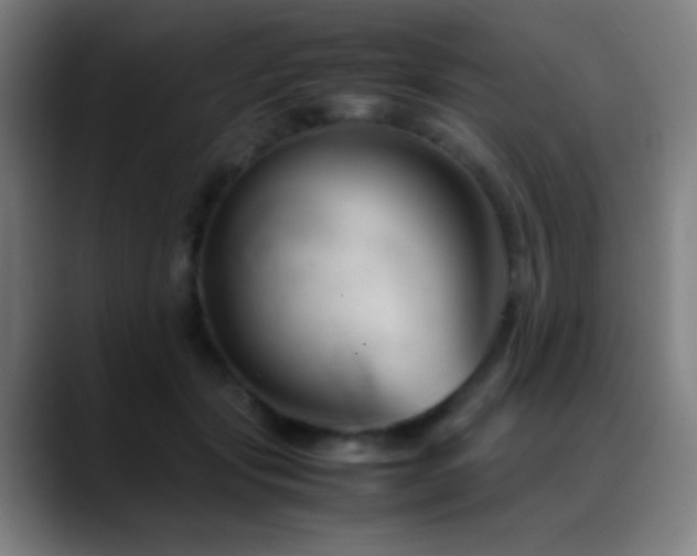 X0000089350557200706151103