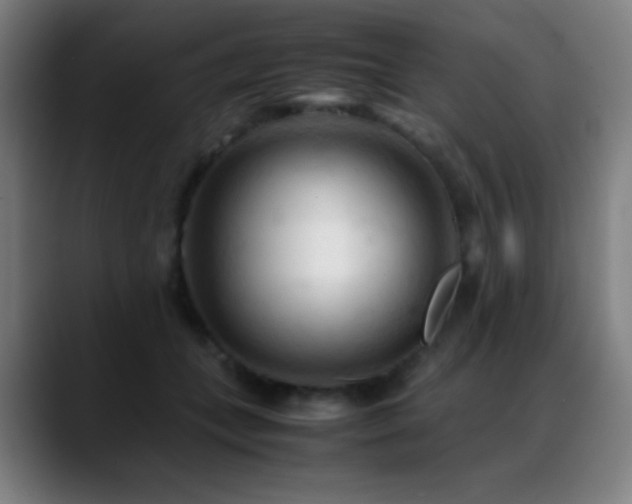 X0000089350559200706151103