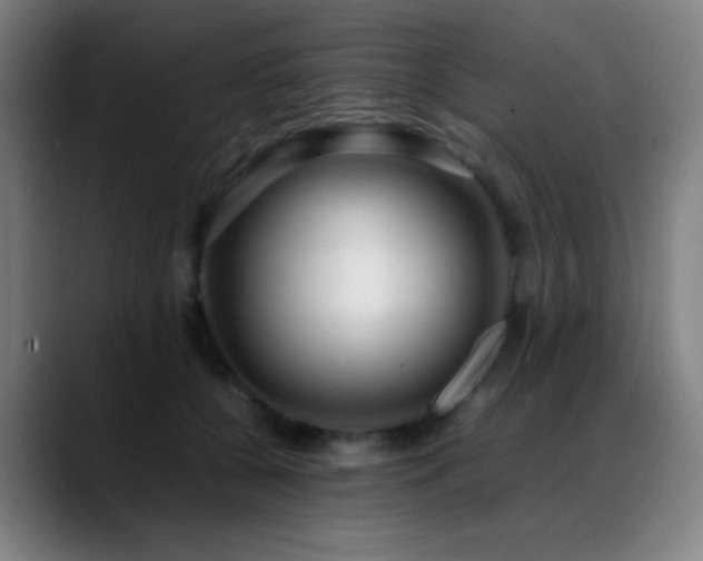 X0000089350560200706151103