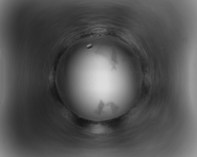 X0000089350561200706151103