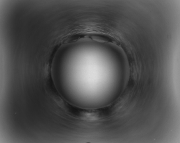 X0000089350563200706151103