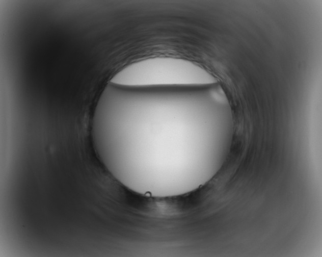 X0000089350565200706151103