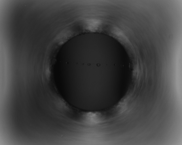 X0000089350566200706151103