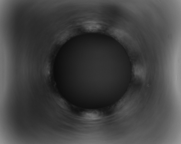 X0000089350567200706151103