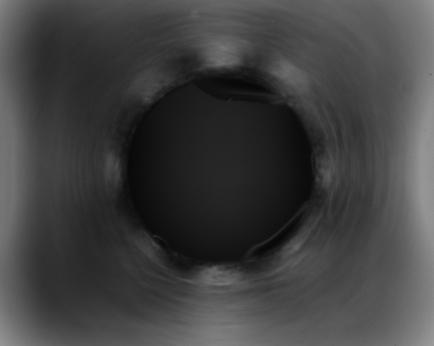 X0000089350568200706151103